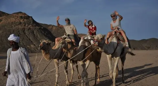 imgi_10_s safari 8_3260b__lg.webp