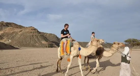 imgi_12_s safari 7_30abf__lg.webp