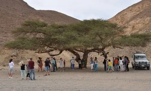 imgi_12_s safari 2_18e8d__lg.webp