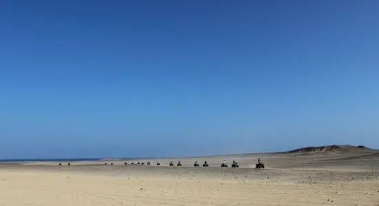 imgi_9_s quad_cde2e__lg.webp