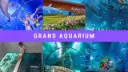 Explore the Underwater World at Hurghada Grand Aquarium | Book Your Ticket at the Best Price