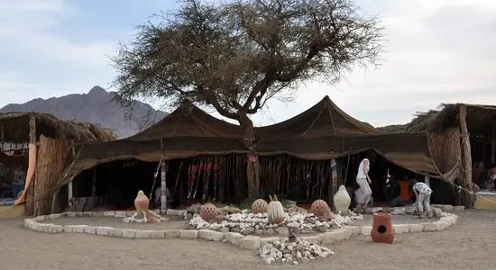 Super Safari Marsa Alam | Full-Day Desert Adventure for Families (Adult)