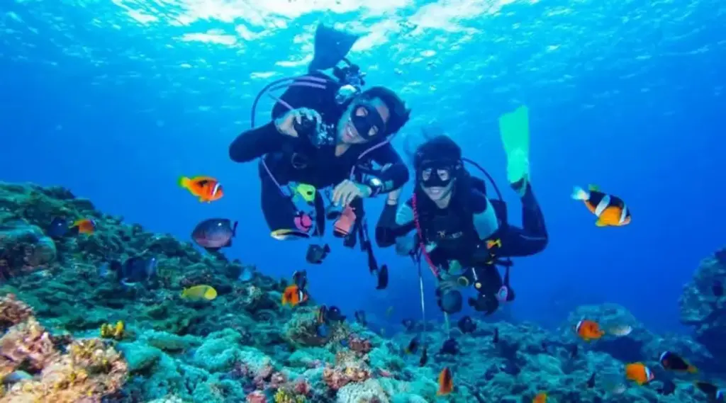 Hurghada Diving Trip (Adult)