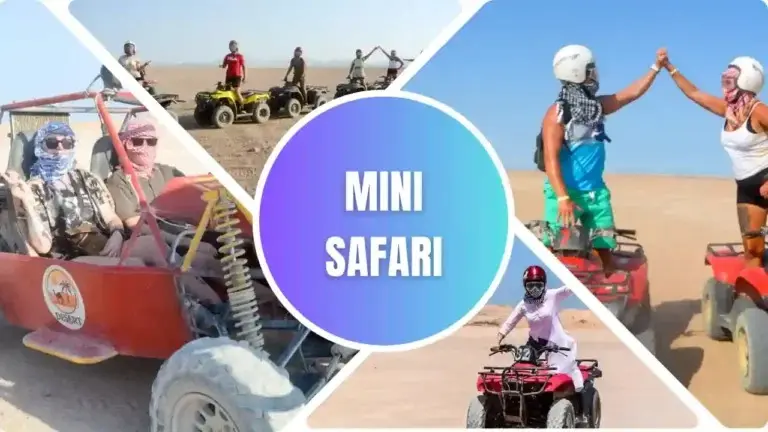 Hurghada Desert Safari by Beach Buggy – 3-Hour Adventure at the Best Price (VIP) (Adult)
