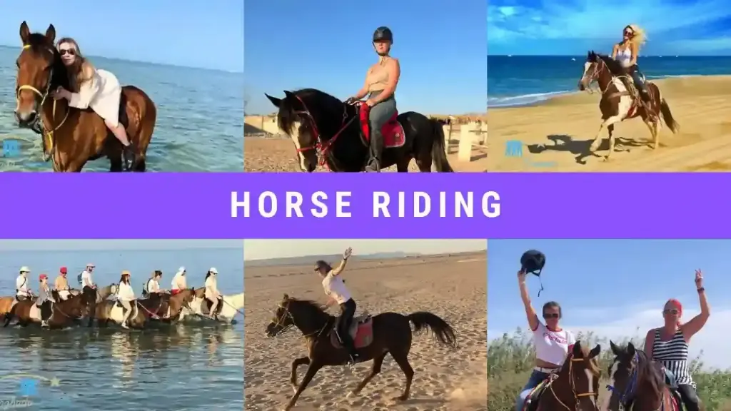 Hurghada Horse Riding Tour (VIP) | A Unique Adventure Across Beach & Desert 